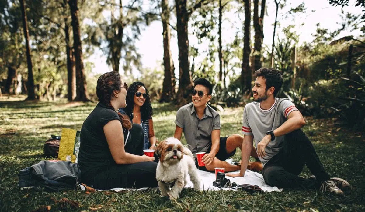 A New, More Meaningful Life