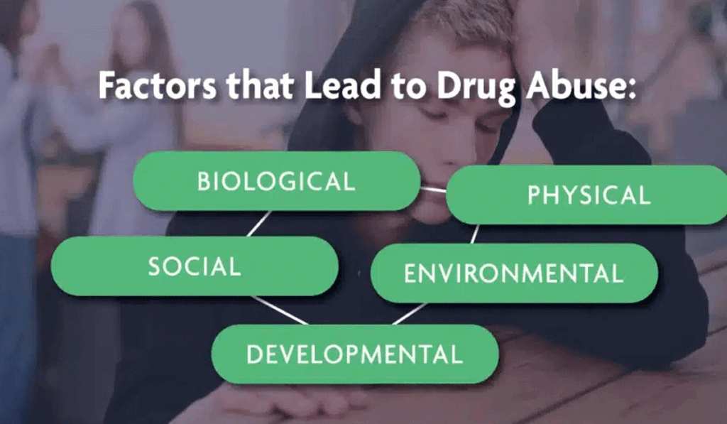 Understanding Drug Use And Its Impact On Health And Society