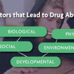 Understanding Drug Use And Its Impact On Health And Society
